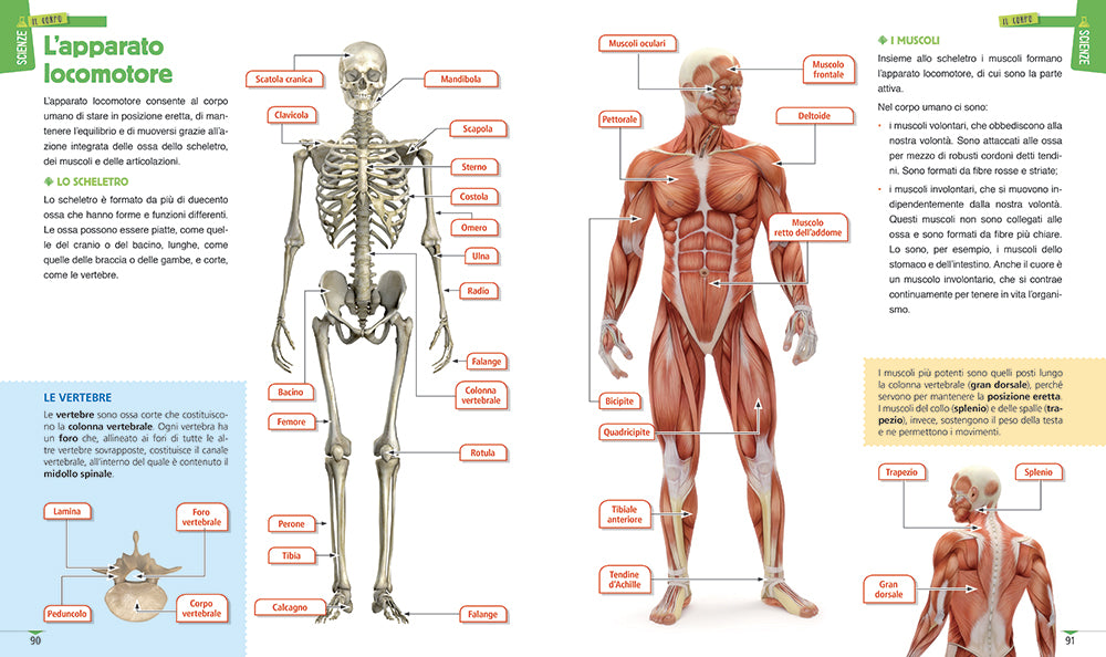 Il mio primo atlante