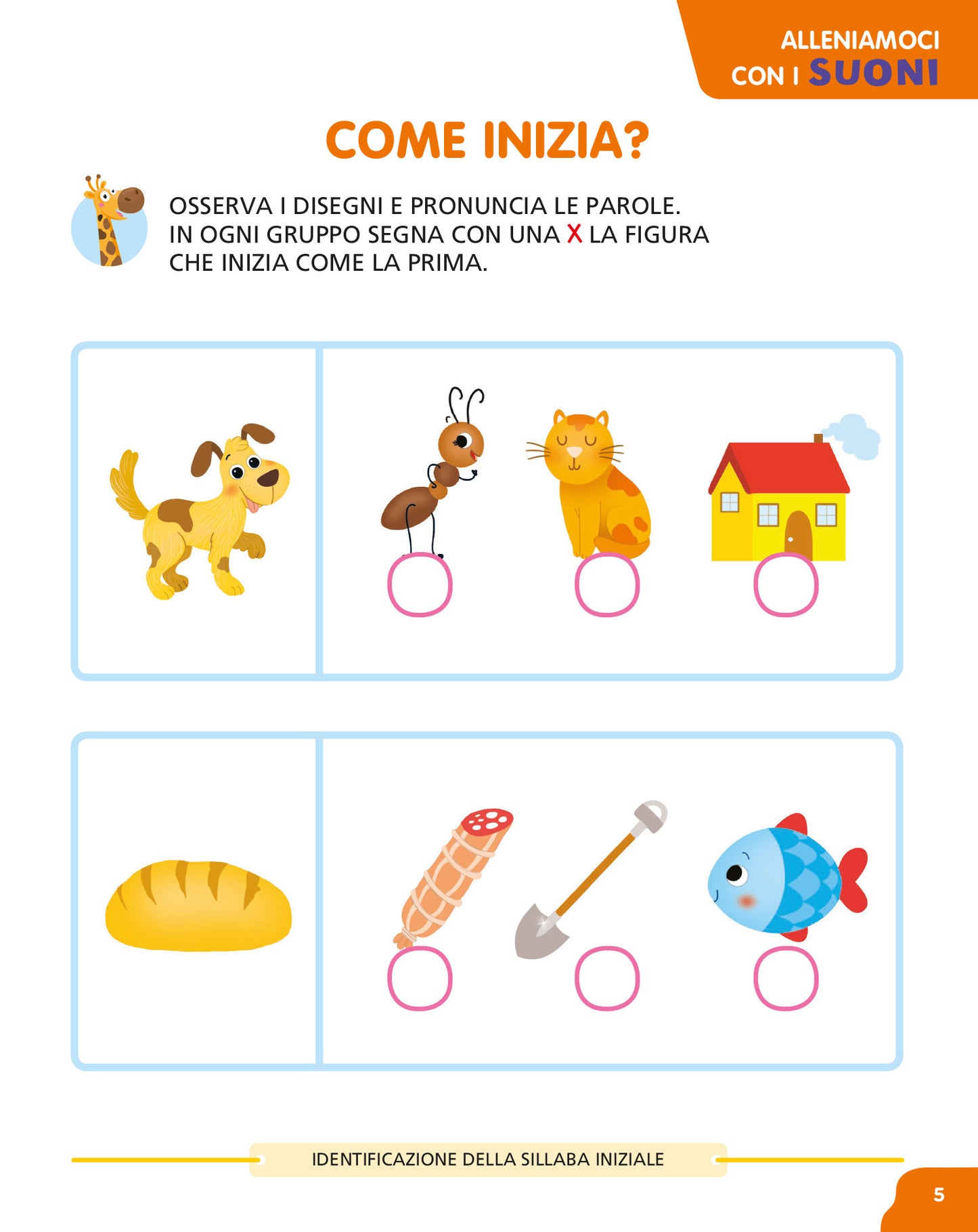 Il mio primo libro di scuola 5+. Attività e giochi per allenare memoria e logica