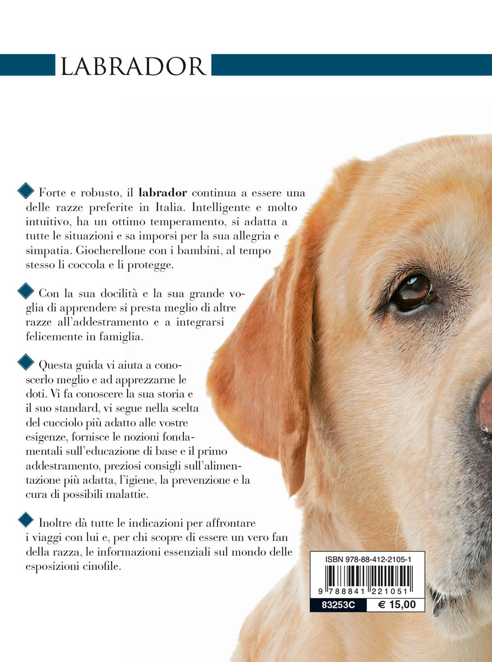 Labrador. vita in casa educazione cure