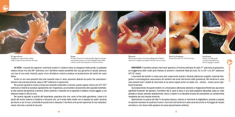 Gravidanza, nascita e infanzia. Come accogliere e prendersi cura di un figlio da zero a sei anni