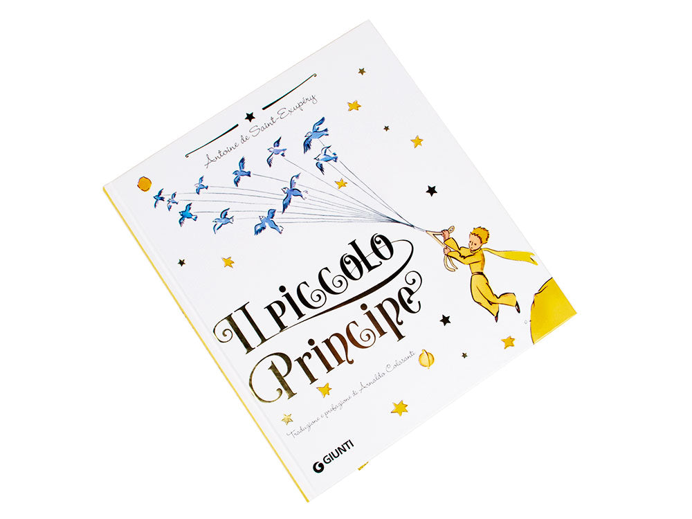 Il piccolo Principe