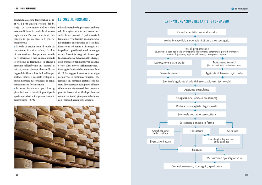 IL GUSTO DEL FORMAGGIO. CONOSCERE LE FORME DEL LATTE