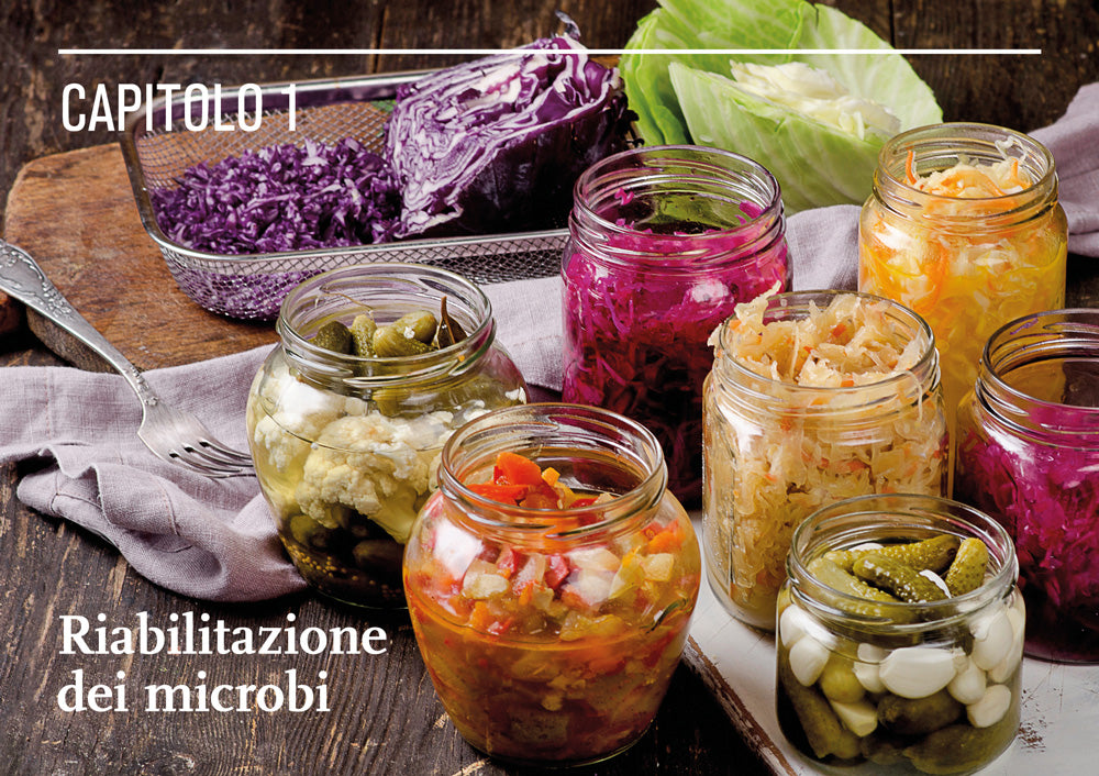 Il mondo della fermentazione. Il sapore, le qualità nutrizionali e la produzione di cibi vivi fermentati