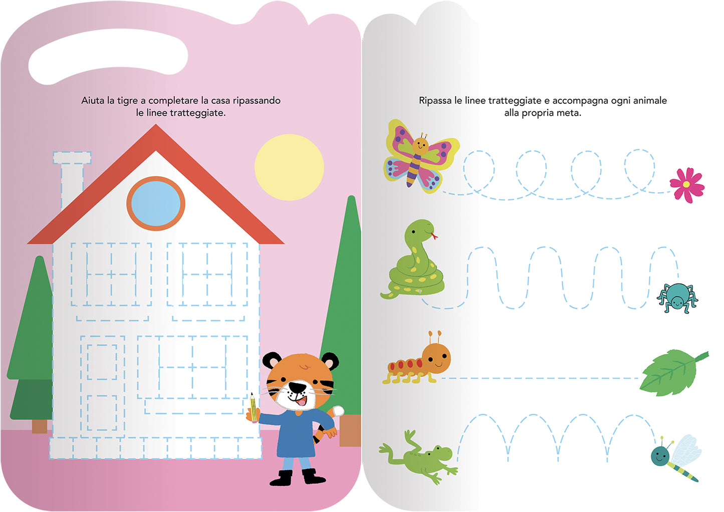 Imparo a scrivere pregrafismi