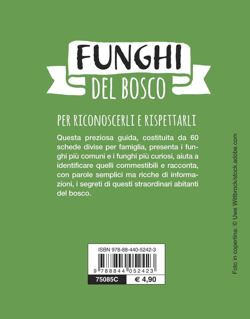 Funghi del bosco