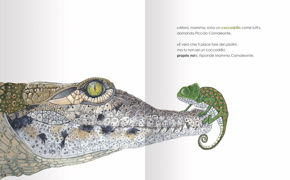 La grande domanda di Piccolo Camaleonte