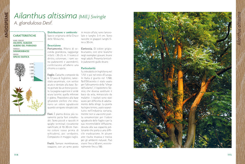 Alberi. Guida al riconoscimento
