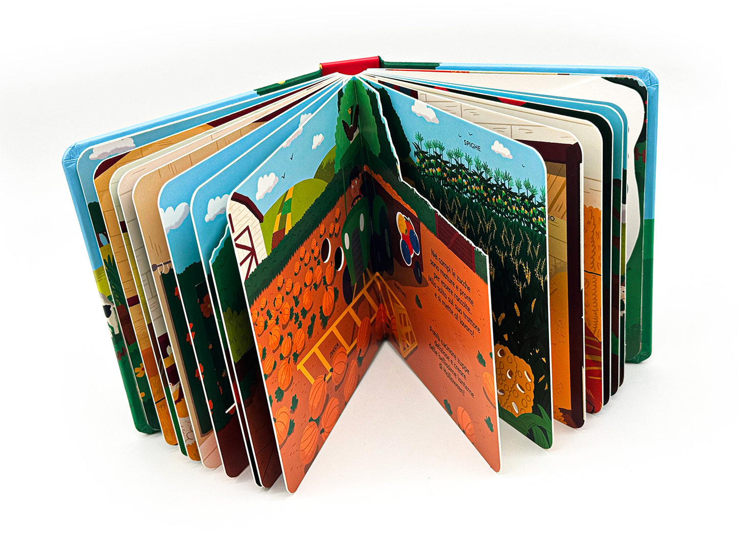 Zoom. Avventura nella fattoria