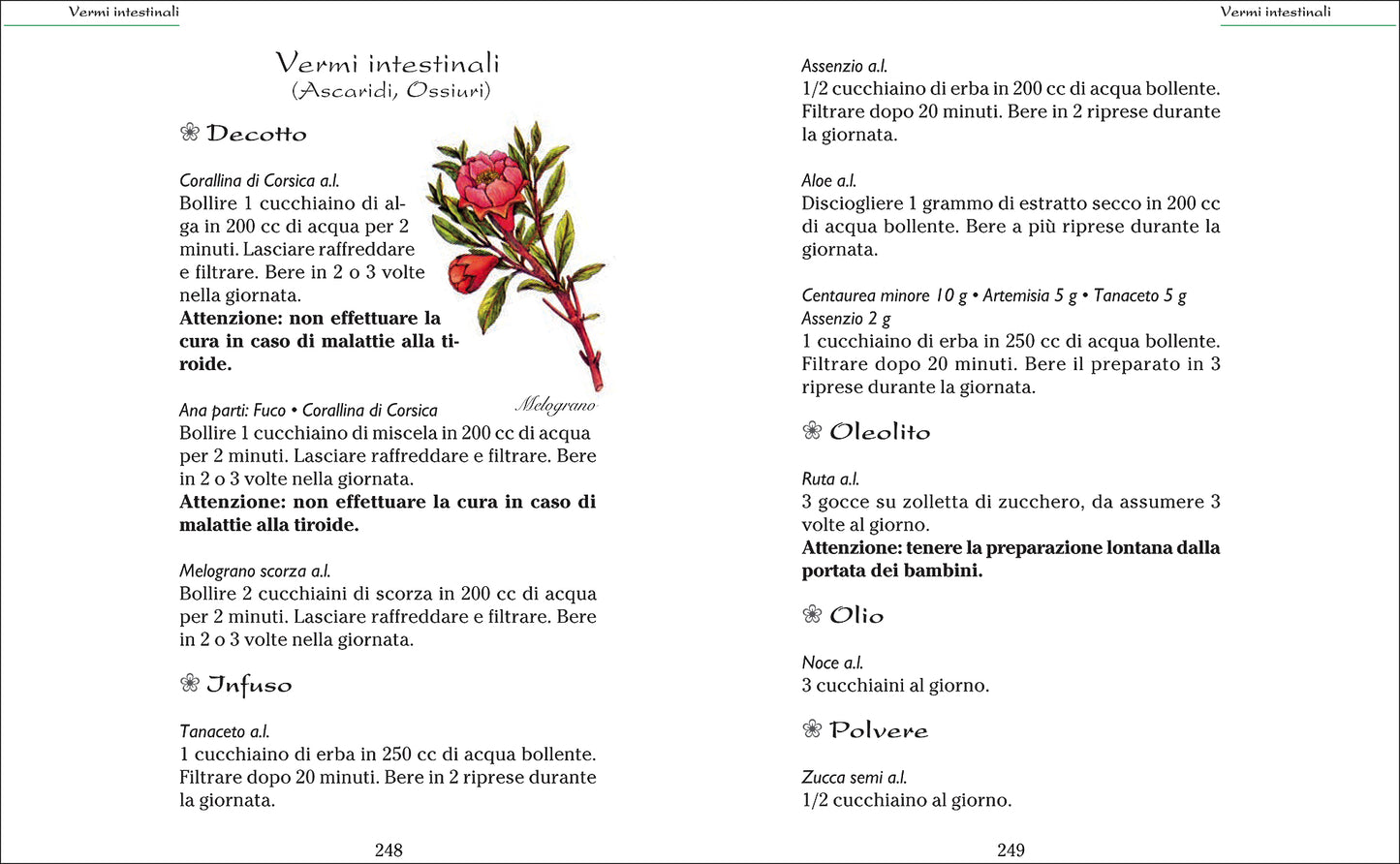 Rimedi naturali. Il libro completo per curarsi con erbe e piante