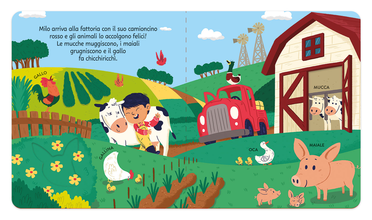 Zoom. Avventura nella fattoria