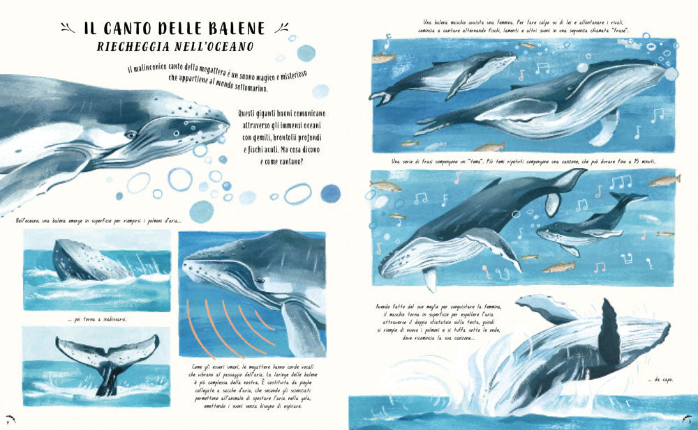 Piano piano... nelle meraviglie del mondo. Osserva il mondo da vicino