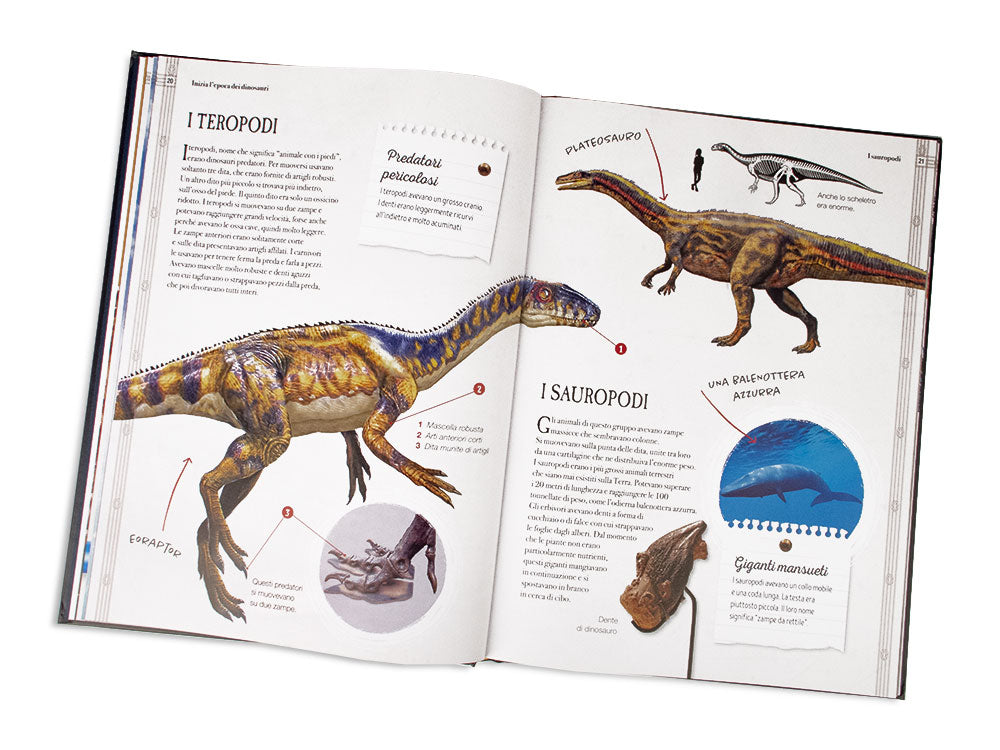 Il mondo segreto dei dinosauri . Sulle tracce dei giganti estinti