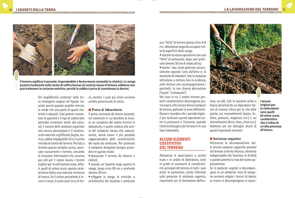 Orto e frutteto biologico