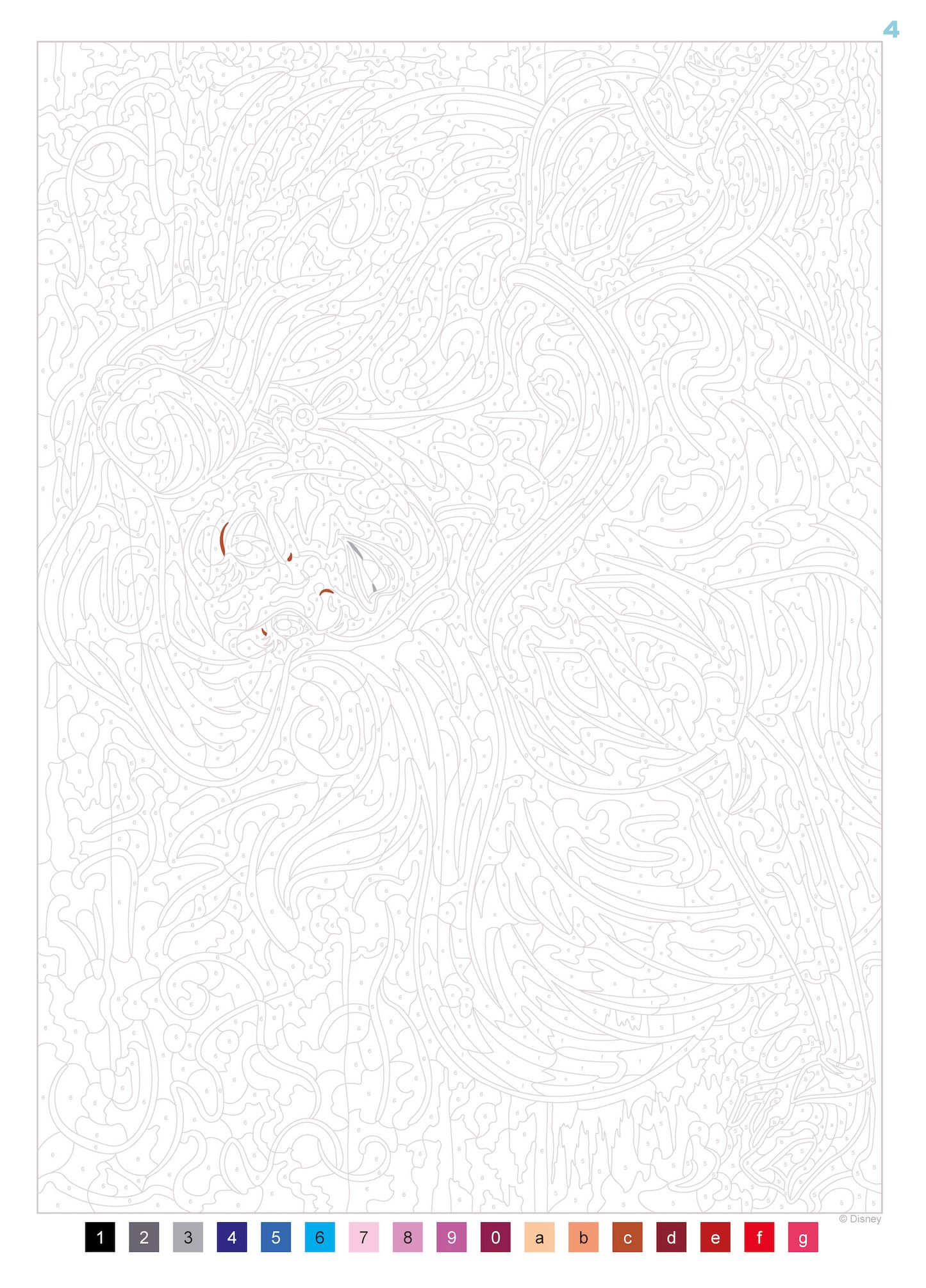 PRINCIPESSE Colori Misteriosi Disney Princess. Arteterapia Libro da colorare per adulti