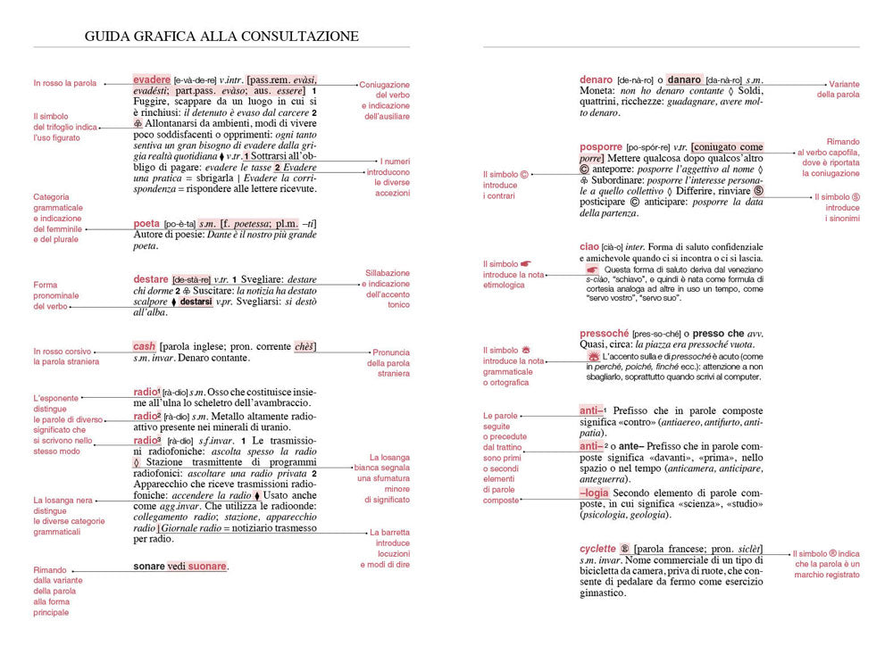 Il mio primo dizionario nuovo Miot 2021