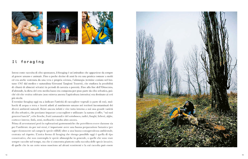 Imparare l'arte del foraging. Conoscere, raccogliere, consumare il cibo selvatico