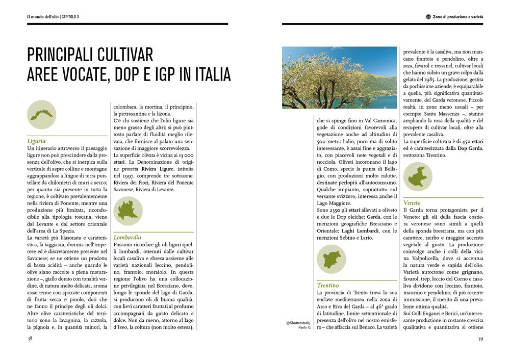 Il mondo dell'olio. Storia, produzione, uso in cucina dell'extravergine. Storia, produzione, uso in cucina dell'extravergine