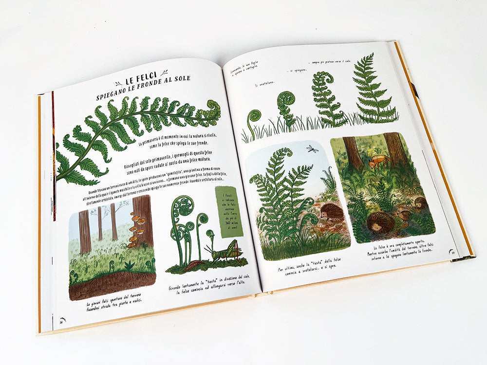 Piano piano... osservare la natura per vivere senza fretta. 50 Storie