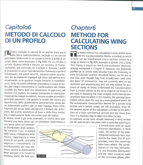 Ali / Wings. Progettazione e applicazione su auto da corsa / Their design and application to racing cars