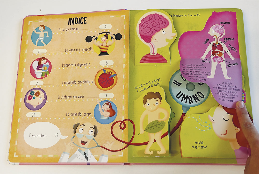 Il corpo umano. Solleva le alette e trova le risposte!