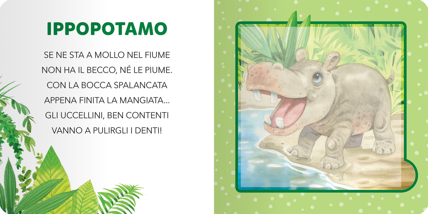 Animali selvaggi