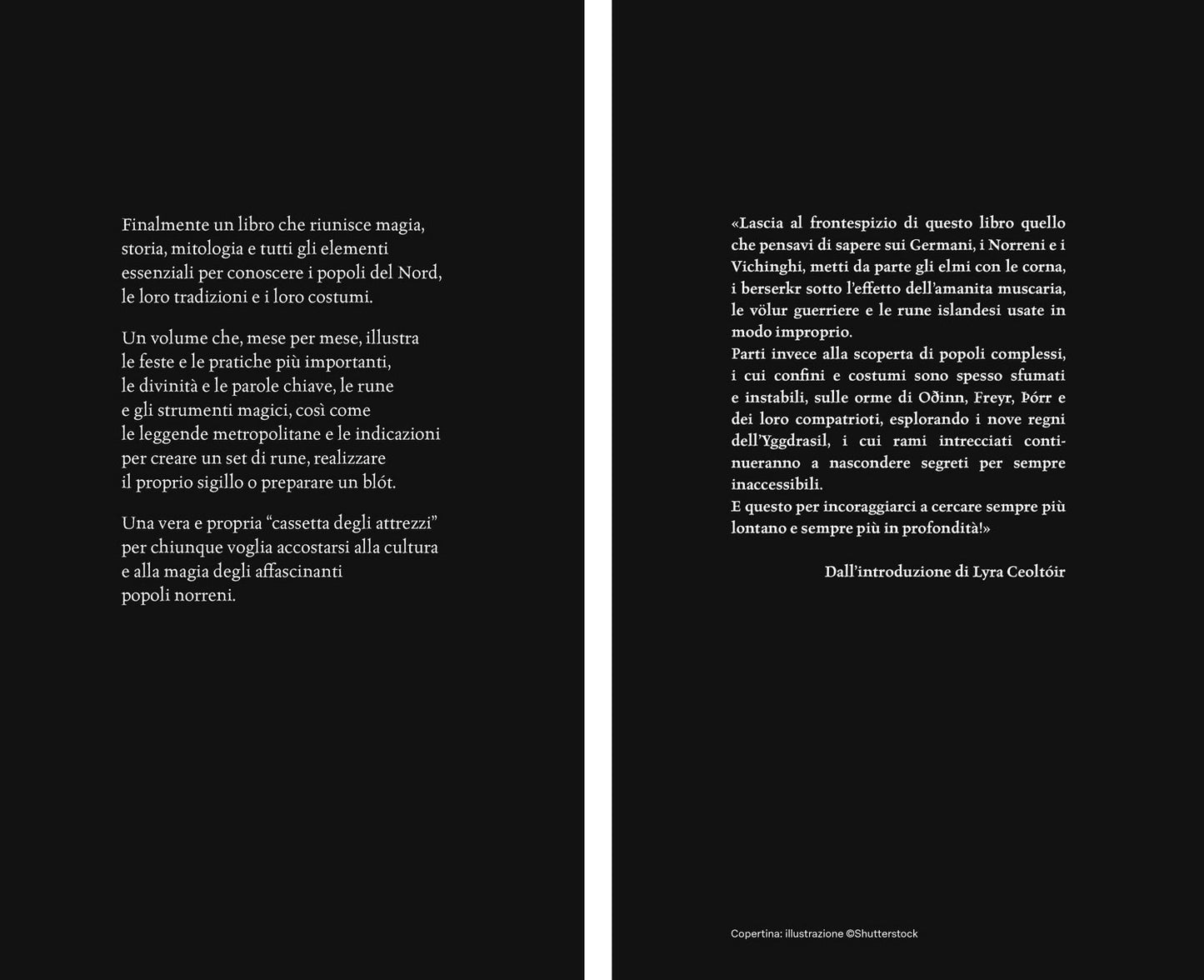 Dèi e miti del Nord. Leggende, rituali, folklore