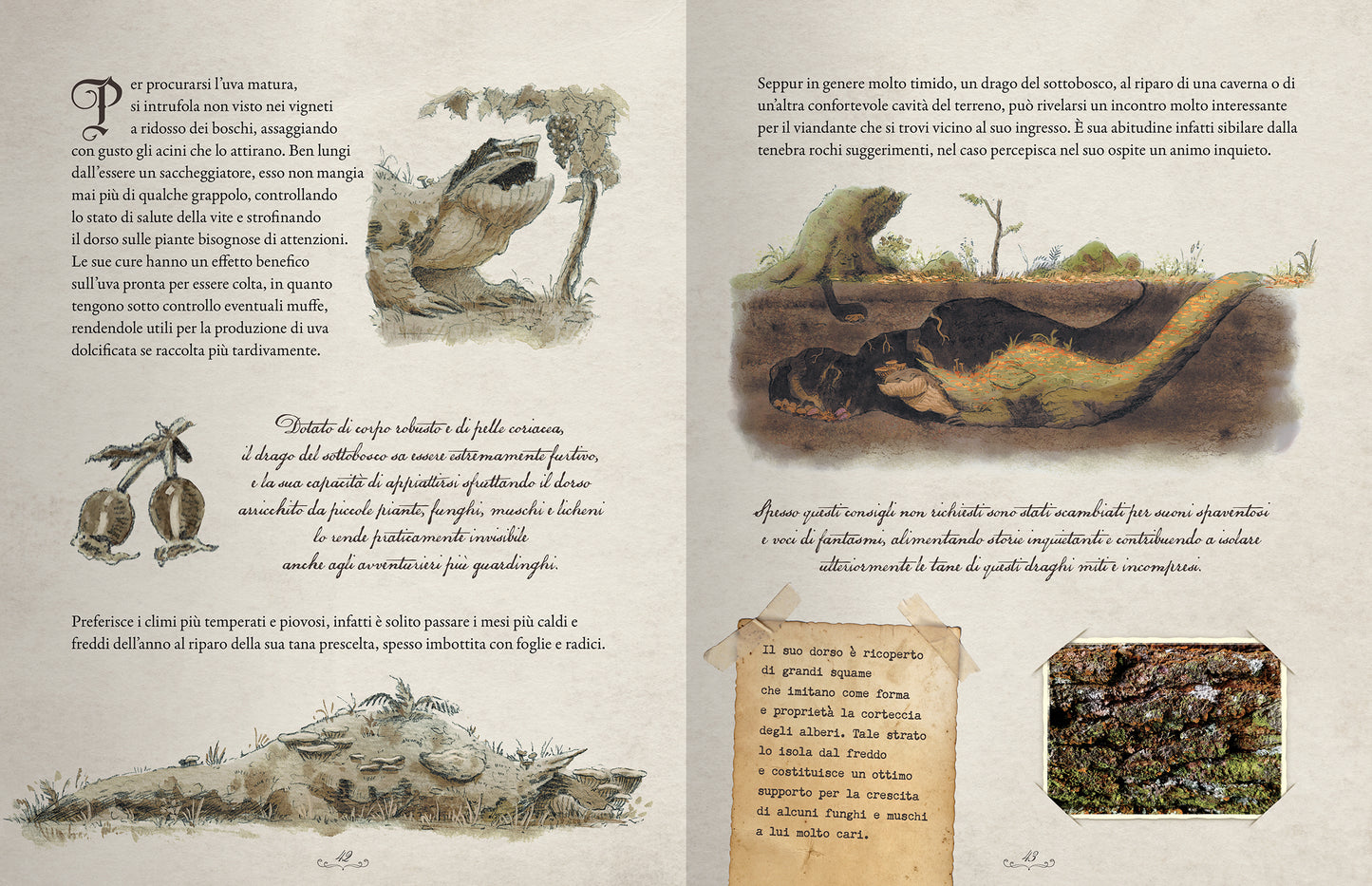 Draghi. Una guida ai 12 guardiani della natura