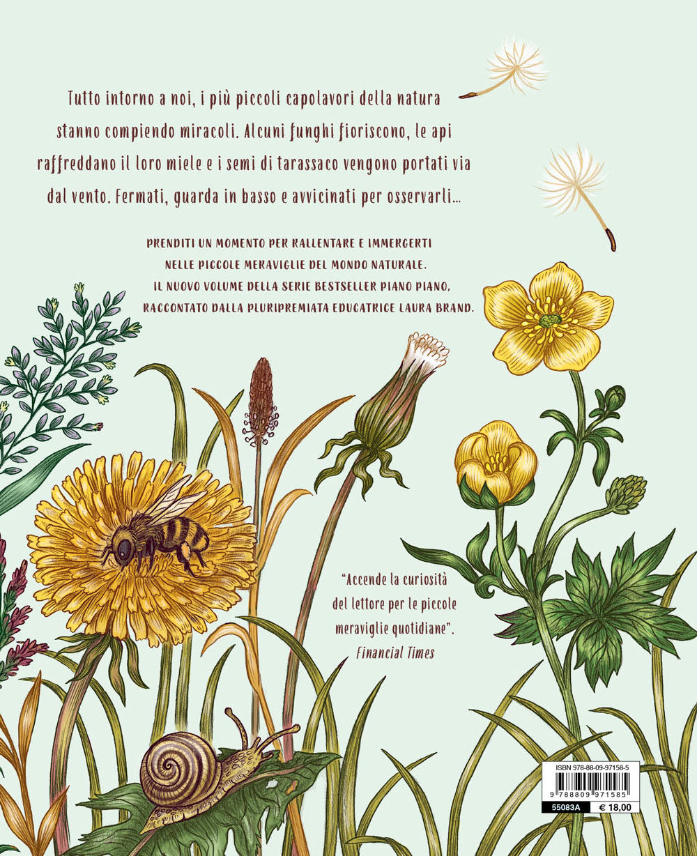 Piano piano... nel piccolo mondo. 20 Storie per fermarti ad ammirare i piccoli incanti della natura