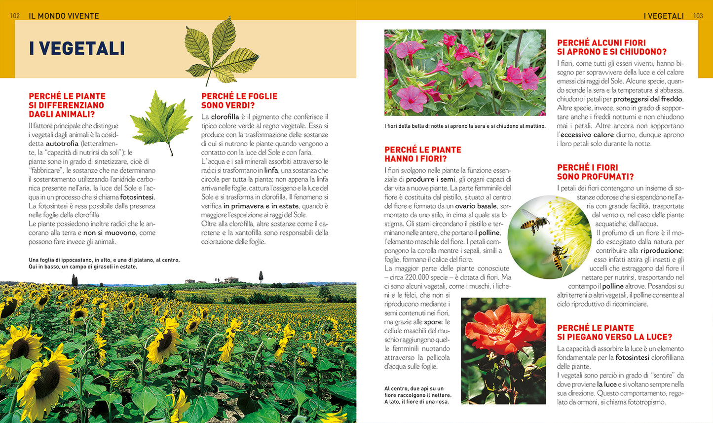 Il grande libro dei perché