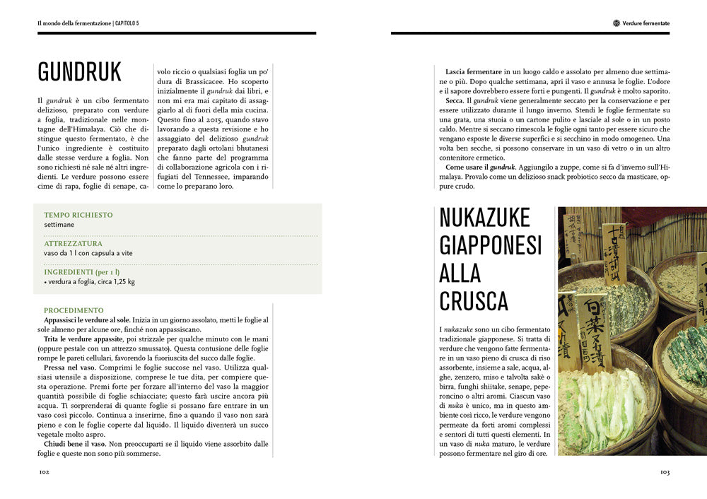 Il mondo della fermentazione. Il sapore, le qualità nutrizionali e la produzione di cibi vivi fermentati