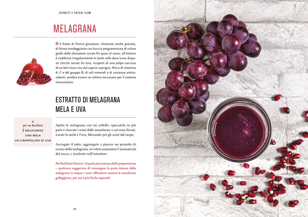 Estratti e succhi slow. Tutti gli abbinamenti secondo stagione