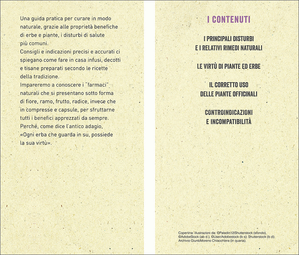 Rimedi naturali. Il libro completo per curarsi con erbe e piante