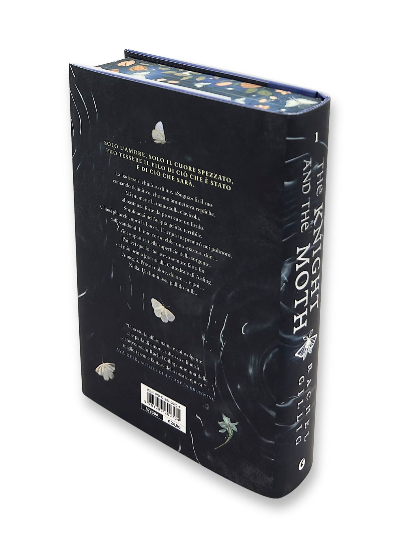 The Knight and the Moth