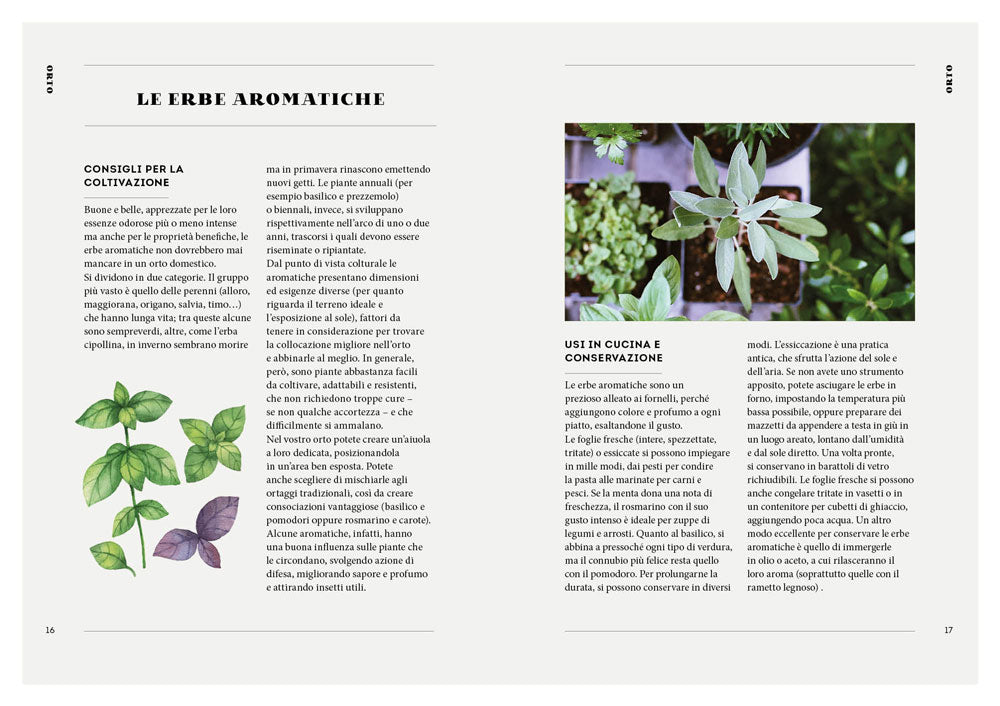 ORTO BOSCO PRATO. CUCINARE LA NATURA