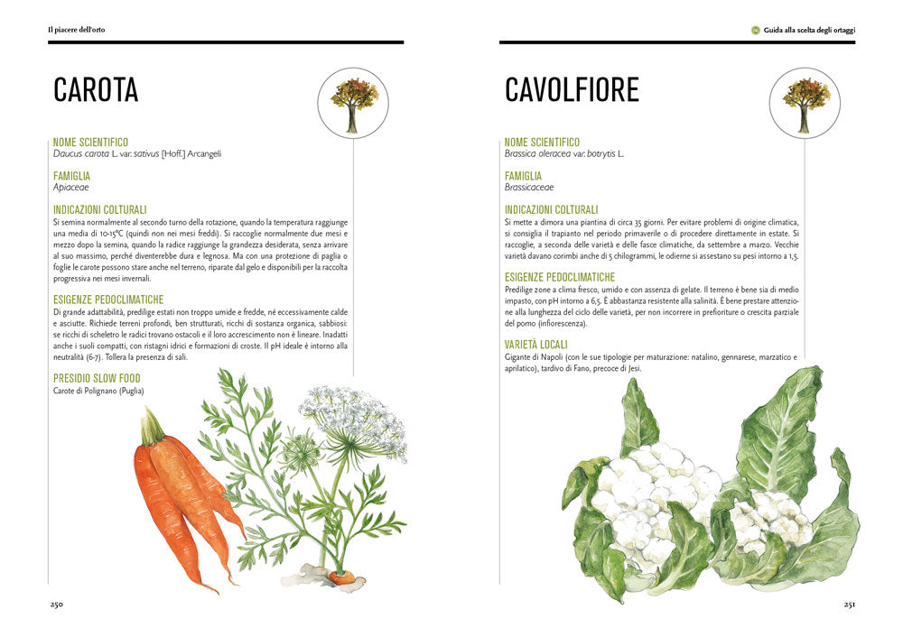 Il piacere dell'orto. Guida pratica alla coltivazione slow.