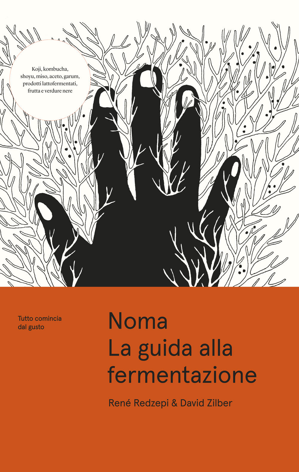 Noma. La guida alla fermentazione