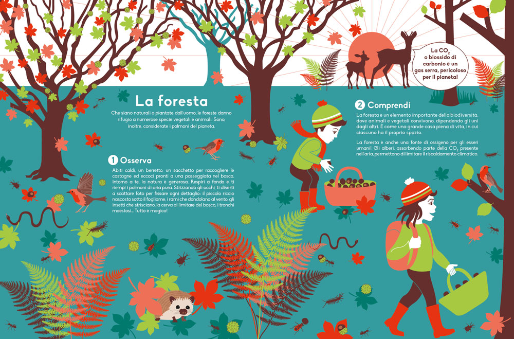 Che cos'è la biodiversità. Osserva, comprendi, proteggi