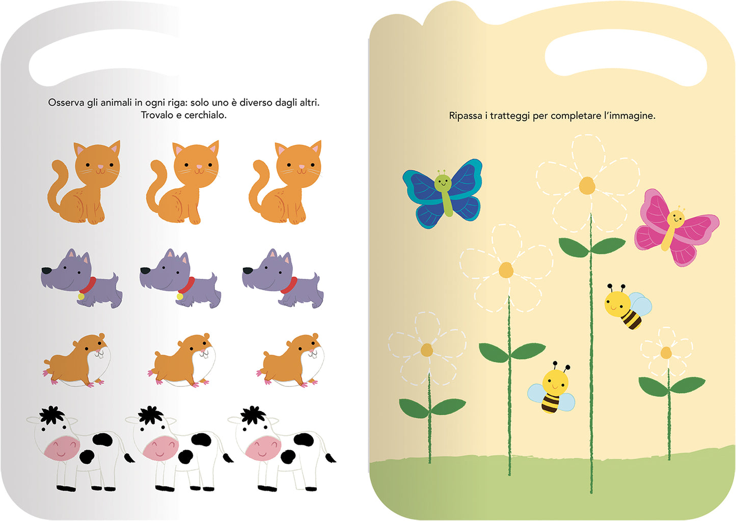 Imparo a scrivere pregrafismi