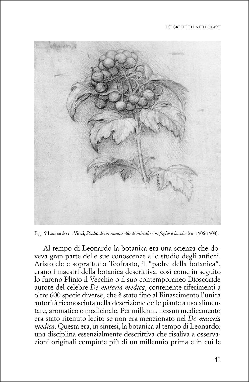 Uomini che amano le piante. Storie di scienziati del mondo vegetale