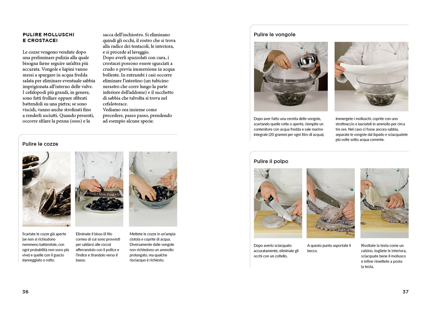 EASY FISH. TECNICHE E RICETTE PER CUCINARE PESCI, MOLLUSCHI E CROSTACEI