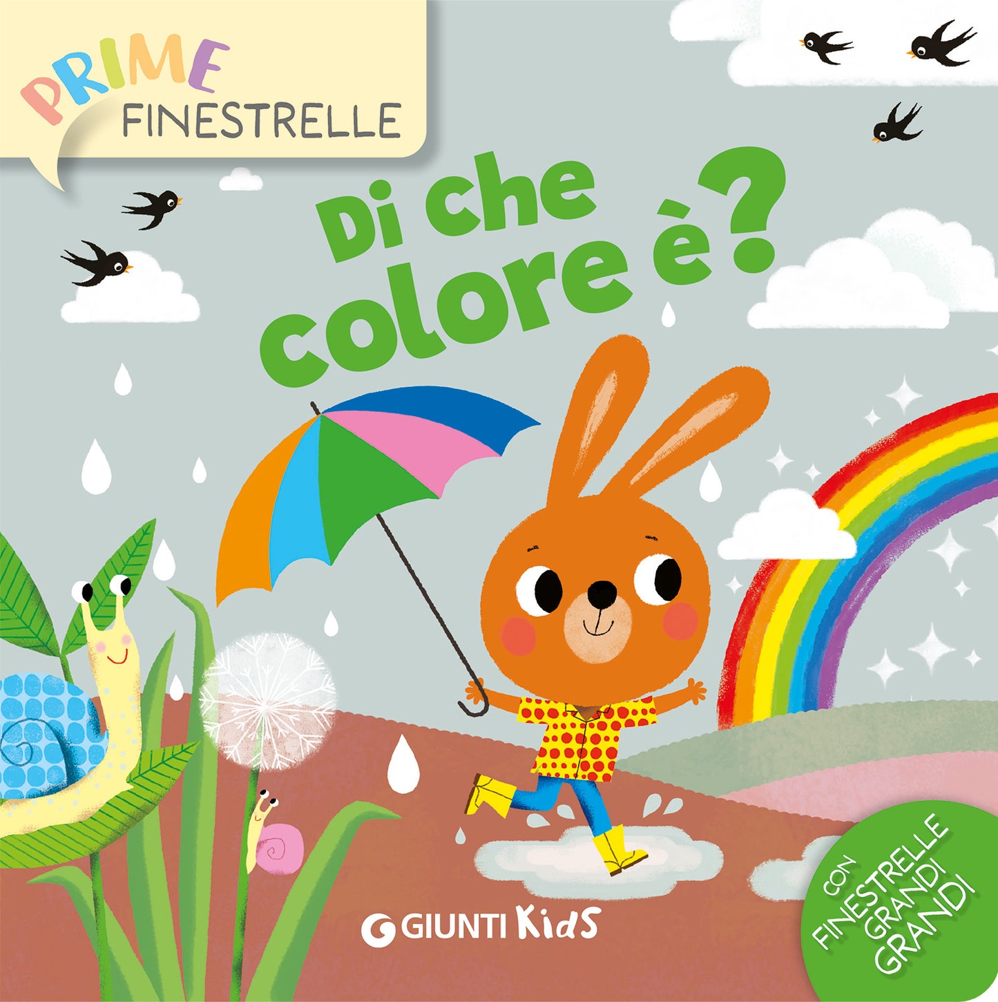 Di che colore è?