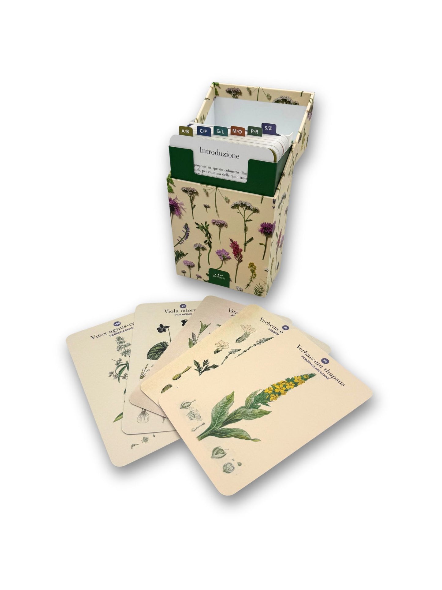 Erbario. 101 Schede per riconoscere le principali erbe curative e di uso alimentare