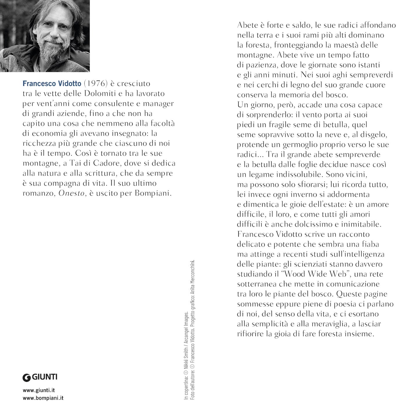 L'abete e la betulla. Storia di amore e di alberi