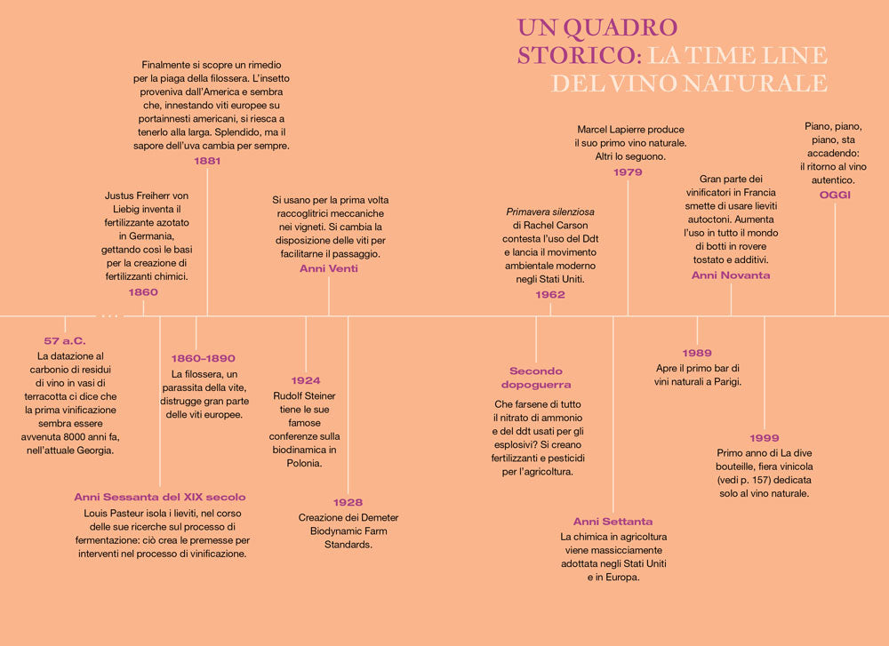 Vino naturale per tutti. Che cos'è, dove trovarlo, come amarlo