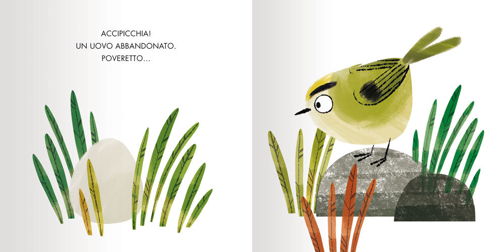 Accipicchia!