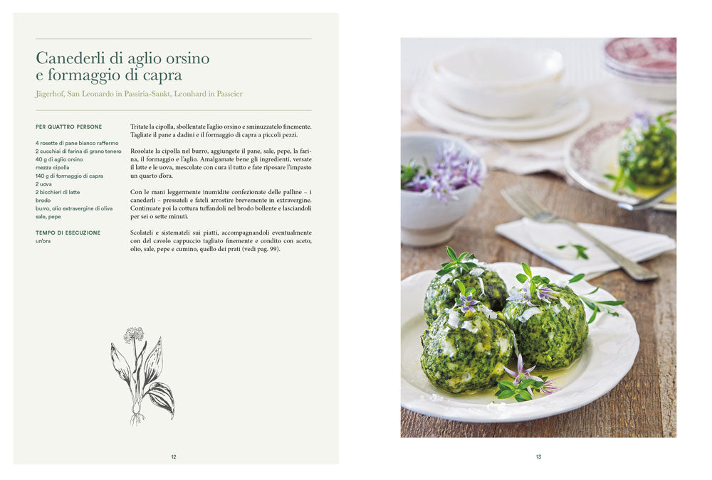 Atlante gastronomico delle erbe. 170 piante. 60 ricette