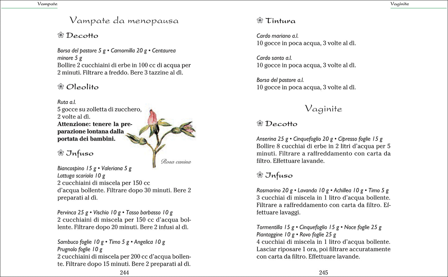 Rimedi naturali. Il libro completo per curarsi con erbe e piante