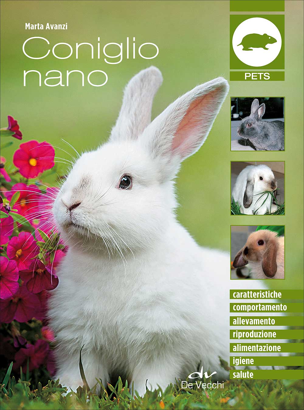 Coniglio nano. Caratteristiche - Comportamento - Allevamento - Riproduzione - Alimentazione -  Igiene - Salute