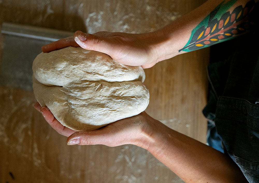 LA FORMULA DEL PANE