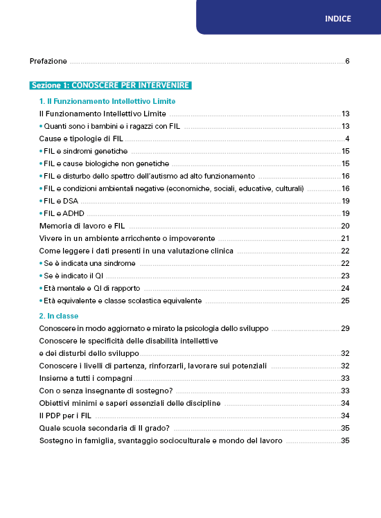 Fra normalità e disabilità intellettiva lieve: come intervenire. Strategie didattiche e schede di semplificazione per affrontare le difficoltà del Funzionamento Intellettivo Limite